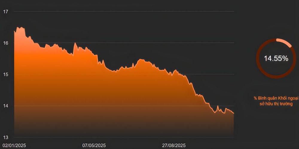 Nâng hạng FTSE 2026: Cơ hội hay thách thức?