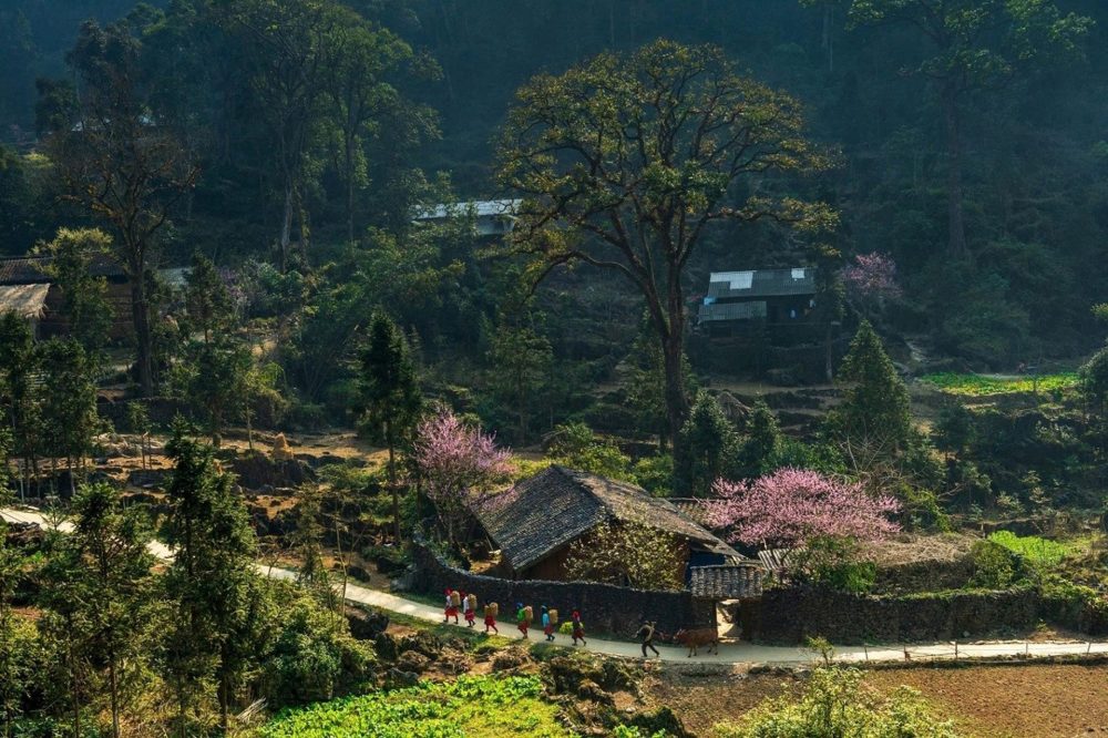 Công viên địa chất toàn cầu UNESCO Cao nguyên đá Đồng Văn – Điểm đến văn hóa hàng đầu thế giới năm 2025 Công viên địa chất toàn cầu UNESCO Cao nguyên đá Đồng Văn – Điểm đến văn hóa hàng đầu thế giới năm 2025