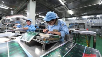 Tiếp tục cắt giảm ngành nghề kinh doanh có điều kiện