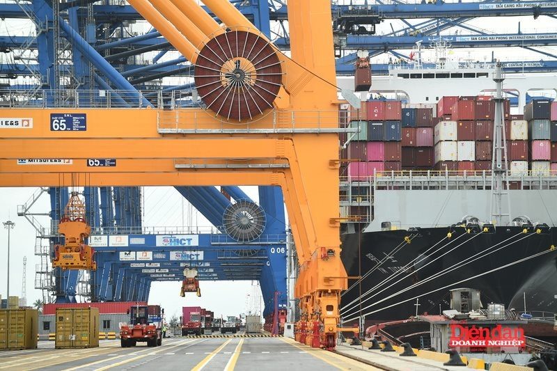 VCCI đề xuất tăng khung giá bốc dỡ container 8,4% VCCI đề xuất tăng khung giá bốc dỡ container 8,4%