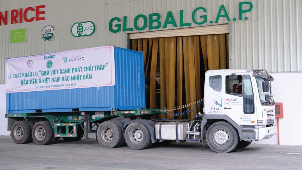 Gạo Việt nhập “làn đua xanh”