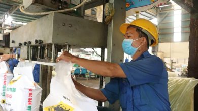 Giải pháp thúc đẩy xanh hoá ngành hoá chất và phân bón