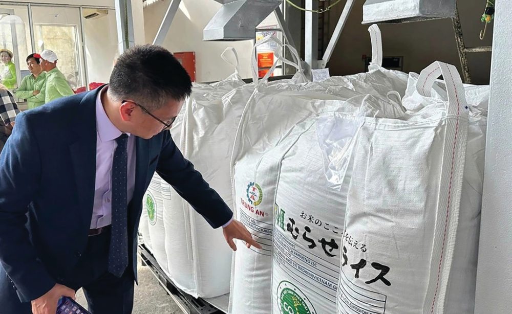 Gạo Việt nhập “làn đua xanh”