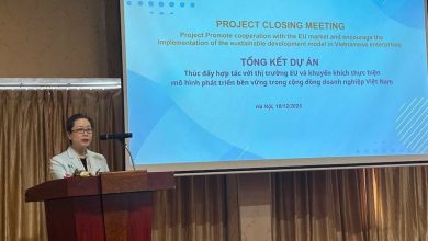 Doanh nghiệp Việt tăng tốc phát triển bền vững Doanh nghiệp Việt tăng tốc phát triển bền vững