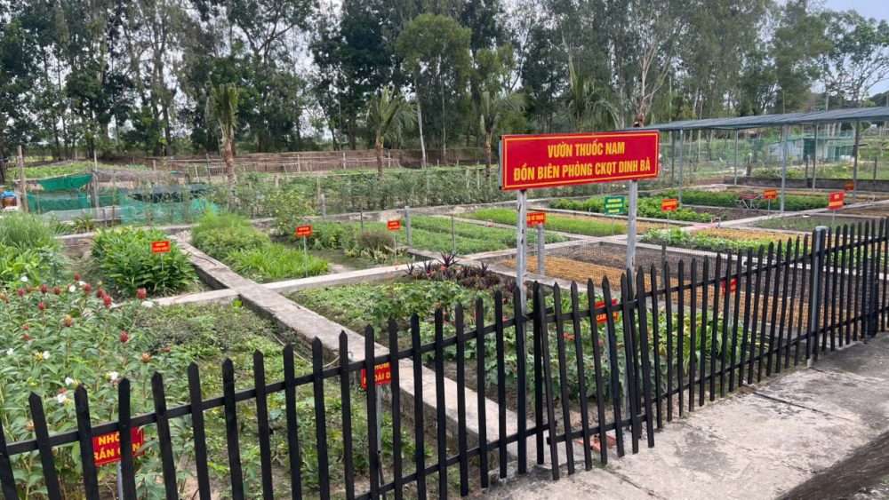 Từ rác thải sinh hoạt đến phân bón hữu cơ: Chu trình kinh tế tuần hoàn nhờ IMO