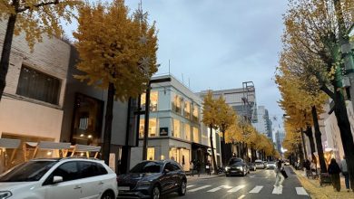 Du lịch Gangnam: Hương vị nồng nàn nơi góc phố quen Du lịch Gangnam: Hương vị nồng nàn nơi góc phố quen