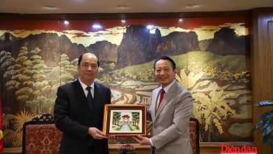 Doanh nghiệp Việt Nam – tỉnh Vân Nam mở rộng cơ hội hợp tác