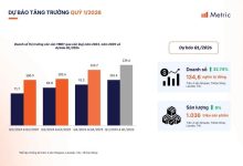 Thị trường thương mại điện tử Việt Nam 2025 đạt gần 430.000 tỷ đồng