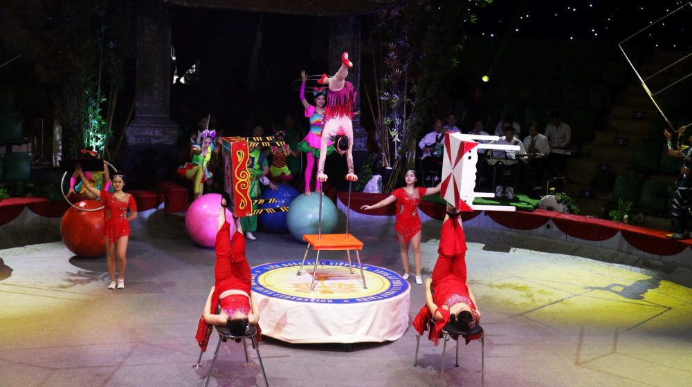 Liên đoàn Xiếc Việt Nam: 70 năm bền bỉ sáng tạo, khẳng định vị thế trong ngành công nghiệp văn hóa