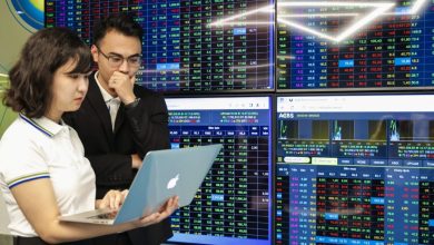 VinaCapital chỉ ra lý do bất động sản và ngân hàng hưởng lợi trong năm 2026