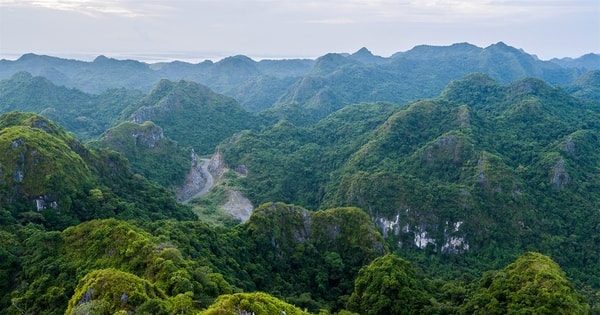 Điều kiện để sàn giao dịch carbon vận hành thực chất Điều kiện để sàn giao dịch carbon vận hành thực chất