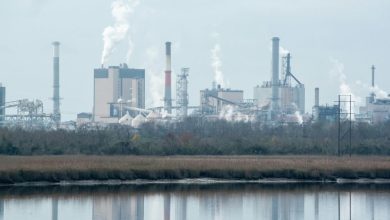 Thuế carbon của EU: Doanh nghiệp Việt làm gì để không mất thị trường?