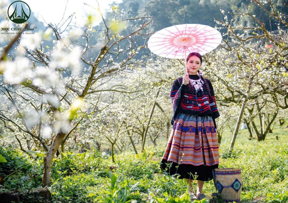 Văn hóa bản địa tạo nên sức hút bền vững cho Khu du lịch Mộc Châu Island