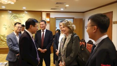 Tăng cường hợp tác chiến lược giữa VCCI và VBF