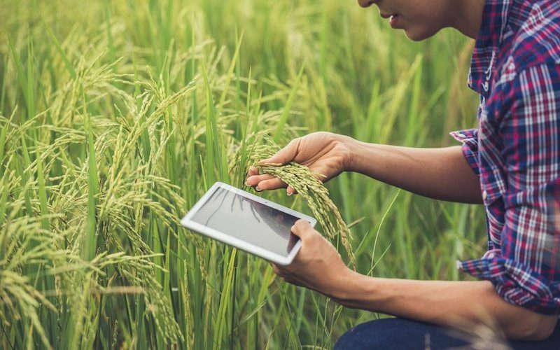 Dữ liệu số - nền tảng để nông nghiệp Việt Nam làm chủ 