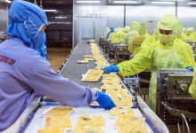 Chiến lược dịch chuyển thị trường của doanh nghiệp thuỷ sản