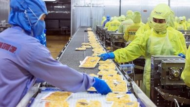 Chiến lược dịch chuyển thị trường của doanh nghiệp thuỷ sản