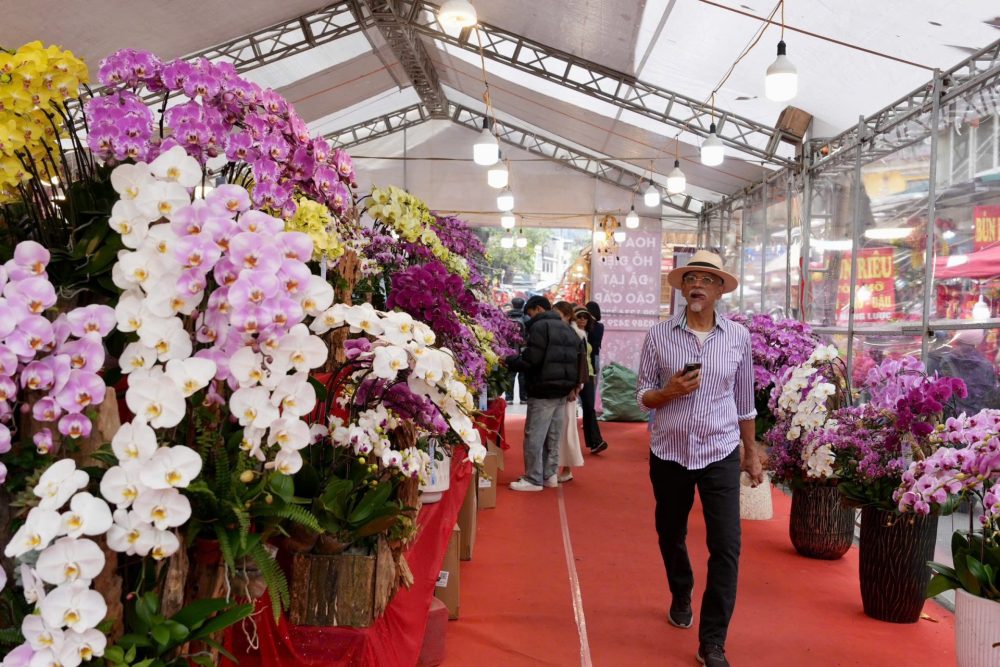 Chợ hoa Xuân Phố cổ 2026 – Không gian Tết truyền thống giữa lòng Hà Nội