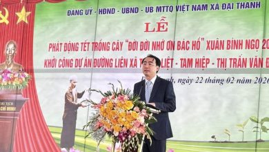 Gắn trồng cây với mở đường: xã Đại Thanh kiến tạo không gian đô thị xanh