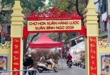 Chợ hoa Xuân Phố cổ 2026 sẵn sàng chào đón người dân và du khách