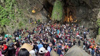 Lễ hội Du lịch Chùa Hương 2026 khởi đầu sôi động, khách tăng mạnh từ mùng 2 Tết