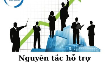 Hỗ trợ pháp lý: “Điểm tựa mềm” cho doanh nghiệp nhỏ và vừa Ninh Bình