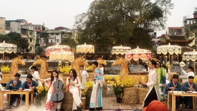 Hội chữ Xuân Bính Ngọ 2026: Lan tỏa tinh thần Quốc học, khơi nguồn đạo học đầu Xuân