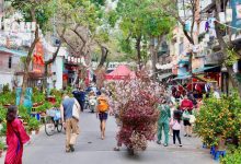 Chợ hoa Xuân Phố cổ 2026 – Không gian Tết truyền thống giữa lòng Hà Nội