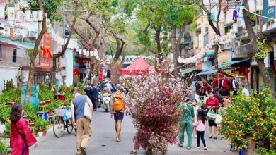 Chợ hoa Xuân Phố cổ 2026 – Không gian Tết truyền thống giữa lòng Hà Nội