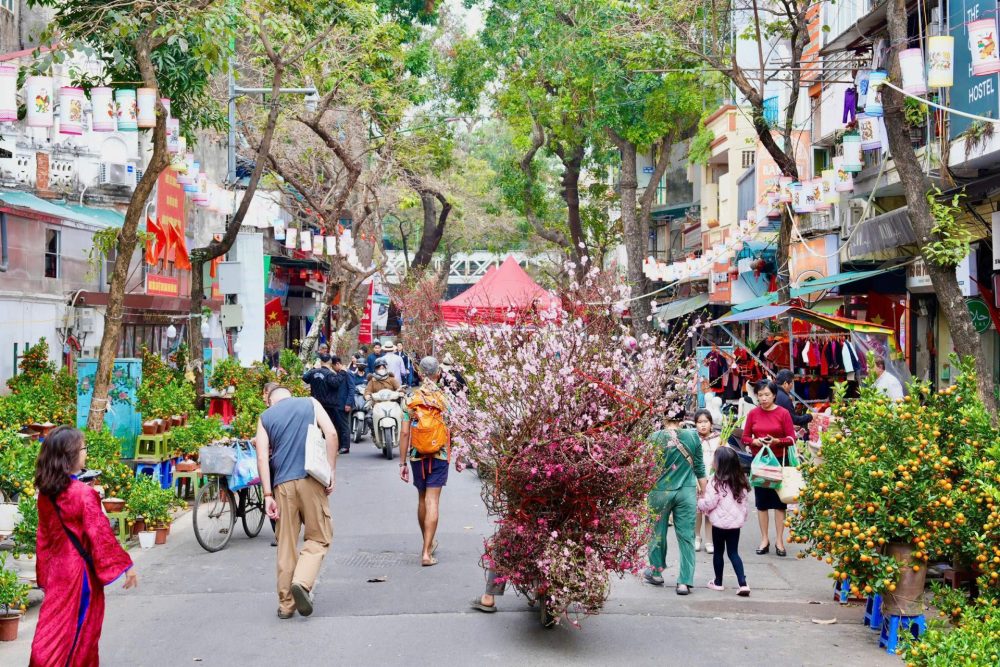 Chợ hoa Xuân Phố cổ 2026 – Không gian Tết truyền thống giữa lòng Hà Nội