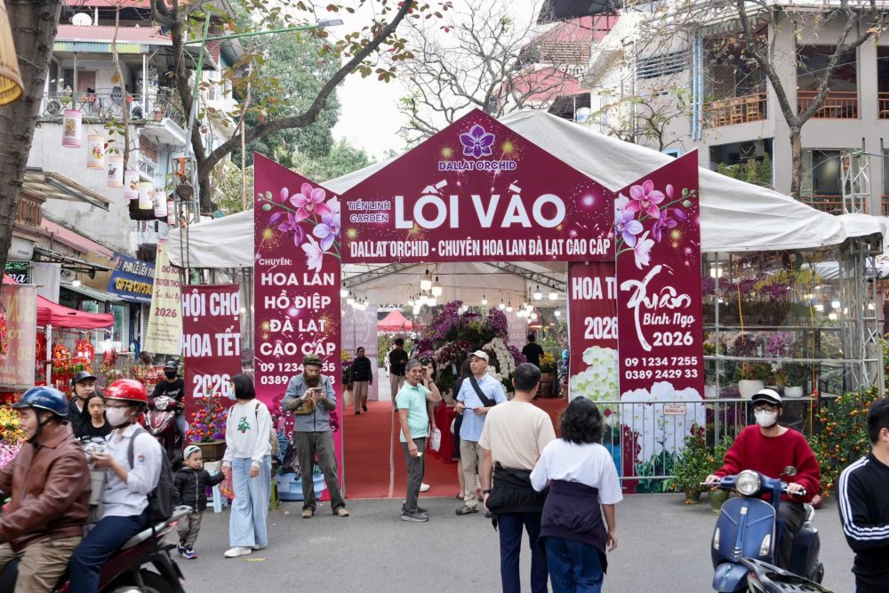 Chợ hoa Xuân Phố cổ 2026 – Không gian Tết truyền thống giữa lòng Hà Nội