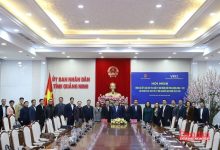 Nâng tầm hợp tác giữa VCCI và tỉnh Quảng Ninh