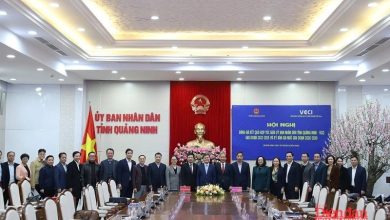 Nâng tầm hợp tác giữa VCCI và tỉnh Quảng Ninh