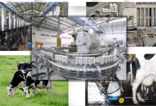 Chiến lược phát triển ngành sữa đến năm 2030, tầm nhìn 2045: Hoàn thiện chuỗi giá trị, nâng cao vị thế sữa Việt