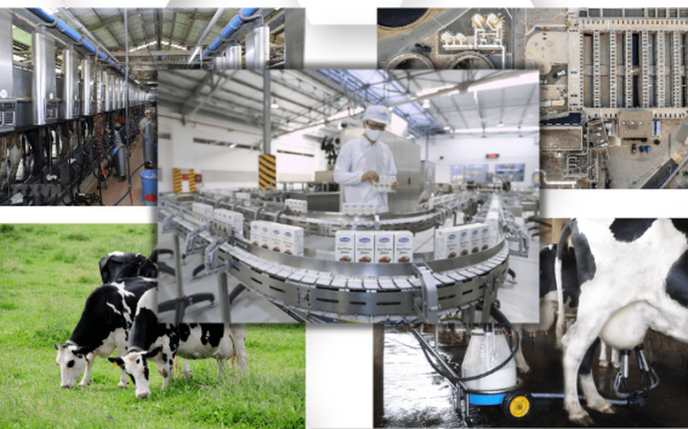 Chiến lược phát triển ngành sữa đến năm 2030, tầm nhìn 2045: Hoàn thiện chuỗi giá trị, nâng cao vị thế sữa Việt