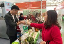 Hơn 200 kg nấm sạch tiêu thụ sau hai ngày tại Hội chợ Mùa Xuân 2026