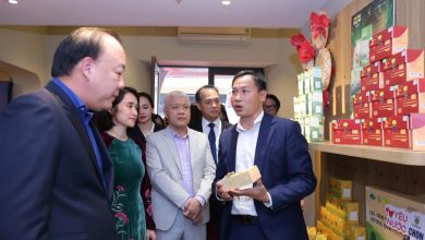 Cục Quản lý và Phát triển thị trường trong nước thúc đẩy phát triển thị trường nội địa trong bối cảnh tiêu dùng số