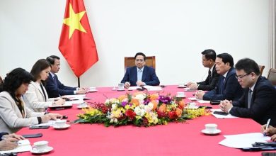 Việt Nam - UAE, Qatar tăng cường hợp tác bảo đảm an ninh năng lượng