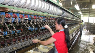 Trăn trở vùng nguyên liệu tơ tằm