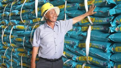 New Image Việt Nam, Quỹ Chăm sóc Sức khỏe Gia đình Việt Nam tiếp tục hợp tác cùng Hội Chữ Thập Đỏ Việt Nam New Image Việt Nam, Quỹ Chăm sóc Sức khỏe Gia đình Việt Nam tiếp tục hợp tác cùng Hội Chữ Thập Đỏ Việt Nam