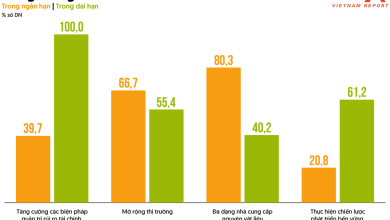 Ngành Bao bì Viêt Nam tận dụng tiềm năng xuất khẩu vào thị trường khó tính