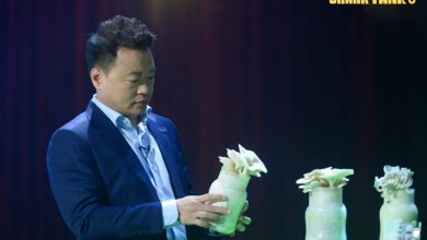 Cuộc đua trồng nấm “thông minh” Cuộc đua trồng nấm “thông minh”