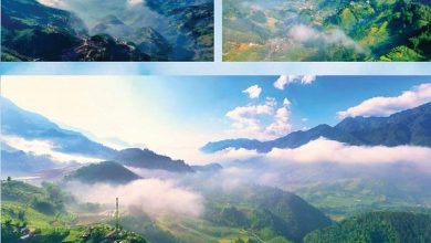 Phiêu giữa đất trời Lào Cai Phiêu giữa đất trời Lào Cai