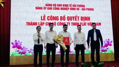 Đảng ủy Khu công nghiệp Đình Vũ Hải Phòng thành lập hai chi bộ trực thuộc Đảng ủy Khu công nghiệp Đình Vũ Hải Phòng thành lập hai chi bộ trực thuộc