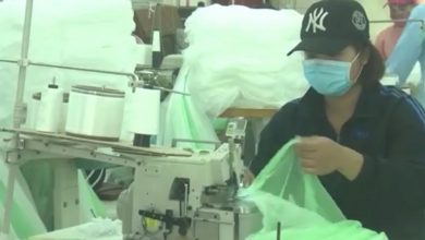 Nữ doanh nhân làm giàu trên mảnh đất “Thành Nam” Nữ doanh nhân làm giàu trên mảnh đất “Thành Nam”