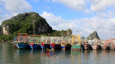 Quảng Ninh: Xử lý nghiêm các hành vi khai thác thủy sản bất hợp pháp Quảng Ninh: Xử lý nghiêm các hành vi khai thác thủy sản bất hợp pháp