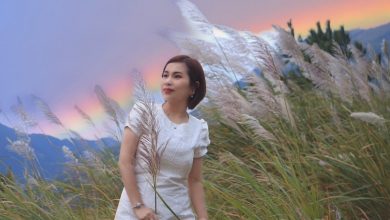 Mùa thu về Bình Liêu ngắm từng vạt hoa lau nở trắng đồi