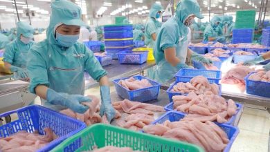 Trung Quốc có thể "soán ngôi vương" của Mỹ trong nhập khẩu thuỷ sản Việt