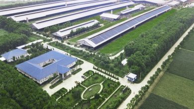 Phát triển kinh tế xanh cần khơi thông nút thắt chuyển dịch năng lượng Phát triển kinh tế xanh cần khơi thông nút thắt chuyển dịch năng lượng