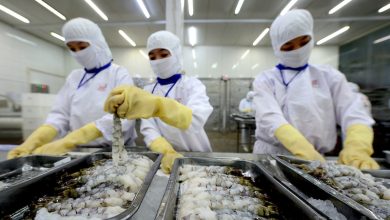 Giải pháp đột phá phát triển ngành nông nghiệp 2023